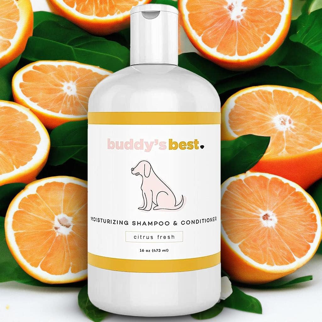 Dog Shampoo for Smelly Dogs - Skin-Friendly, Oatmeal Dog Shampoo and Conditioner for Dry and Sensitive Skin - Moisturizing Puppy Wash Shampoo, Citrus Fresh Scent, 16Oz