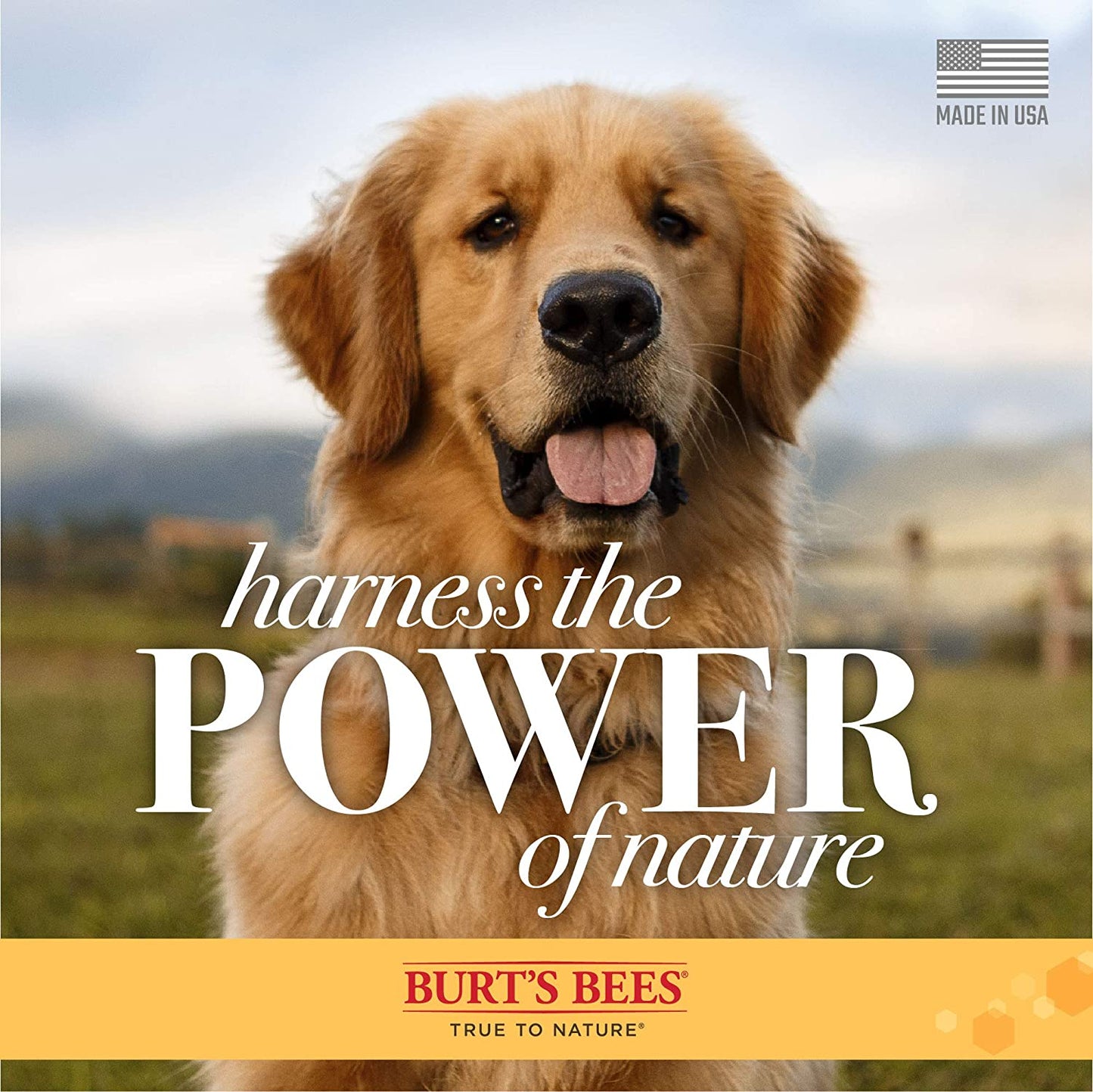Tearless Puppy Shampoo with Buttermilk - Cruelty Free, Formulated without Sulfates and Parabens, Naturally Derived Shampoo for Dogs, Dog Wash, Dog Soap, Pet Shampoo, 32 Oz