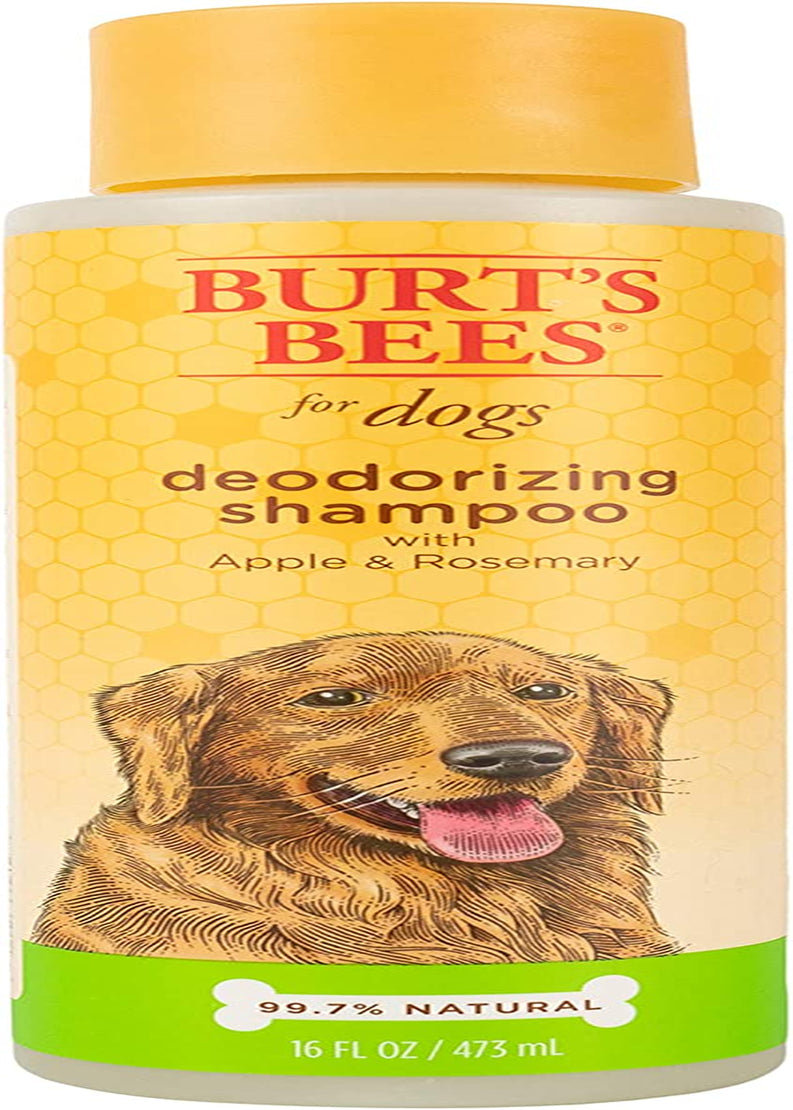 Naturally Derived Deodorizing Dog Shampoo with Apple & Rosemary - Dog Shampoo for Odors - Cruelty Free, Formulated without Sulfates and Parabens, Made in USA, 16 Oz - 2 Pack