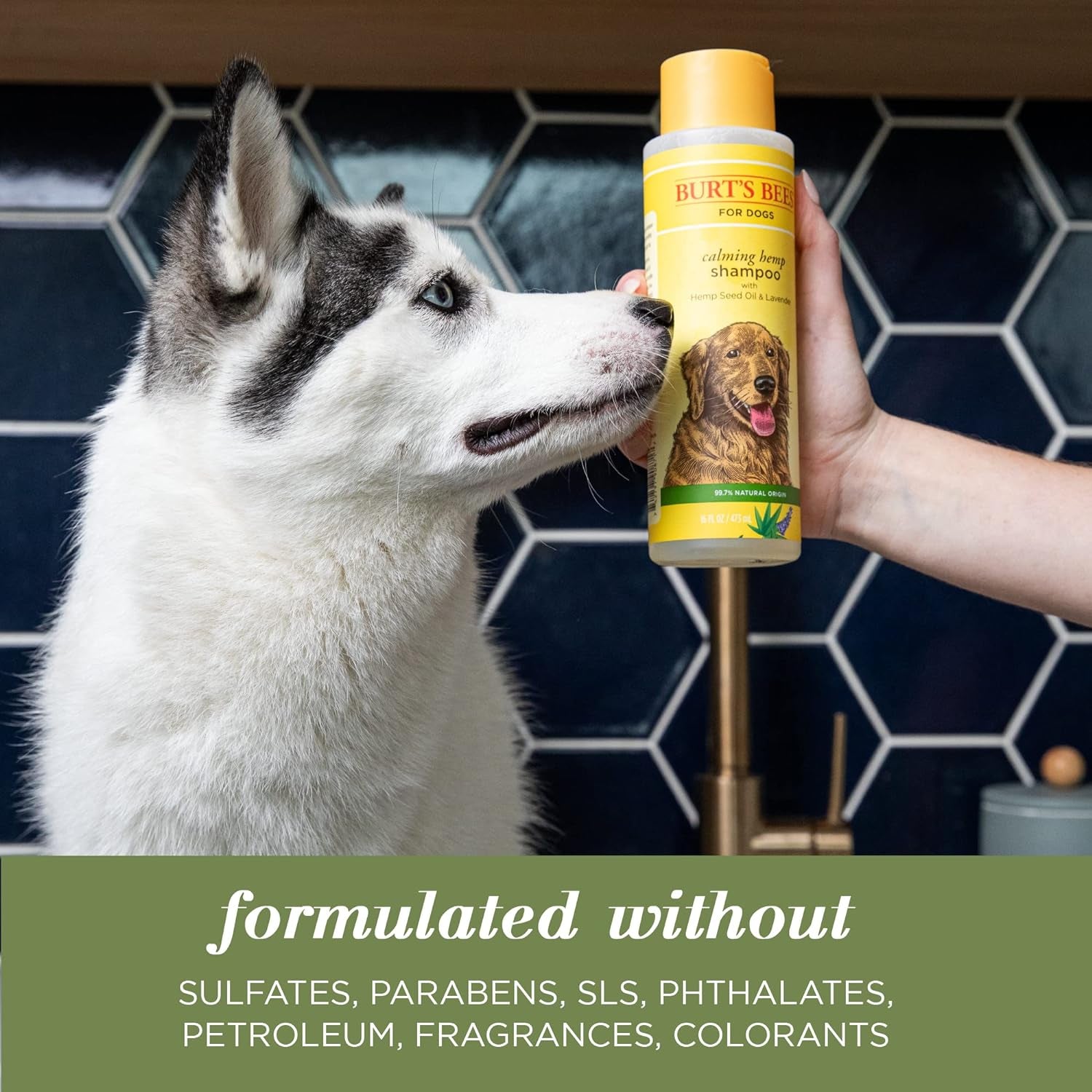 Calming Hemp Shampoo - Burt'S Bees Dog Shampoo with Hemp Seed Oil & Lavender Made with Naturally Derived Ingredients - Hemp Dog Shampoo, Ph Balanced for Dogs, 16 Fl Oz