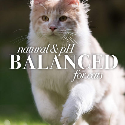 Naturally Derived Kitten Tearless Shampoo with Buttermilk, Cat Shampoo, Kitten Shampoo for Cats - Cat Grooming Supplies, Cat Bath Supplies, 10 Fl Oz