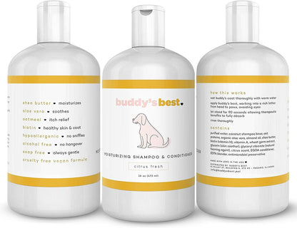 Dog Shampoo for Smelly Dogs - Skin-Friendly, Oatmeal Dog Shampoo and Conditioner for Dry and Sensitive Skin - Moisturizing Puppy Wash Shampoo, Citrus Fresh Scent, 16Oz
