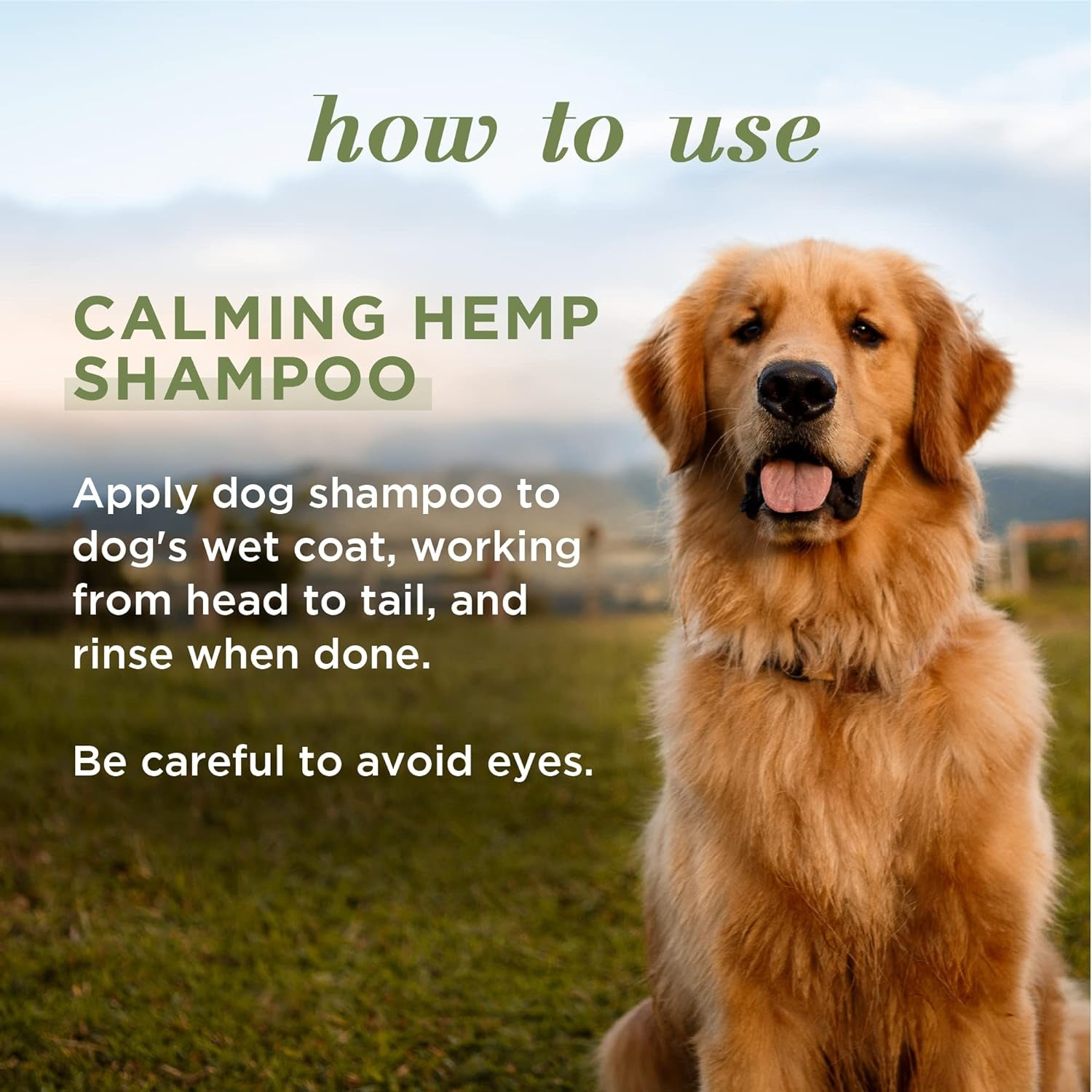 Calming Hemp Shampoo - Burt'S Bees Dog Shampoo with Hemp Seed Oil & Lavender Made with Naturally Derived Ingredients - Hemp Dog Shampoo, Ph Balanced for Dogs, 16 Fl Oz