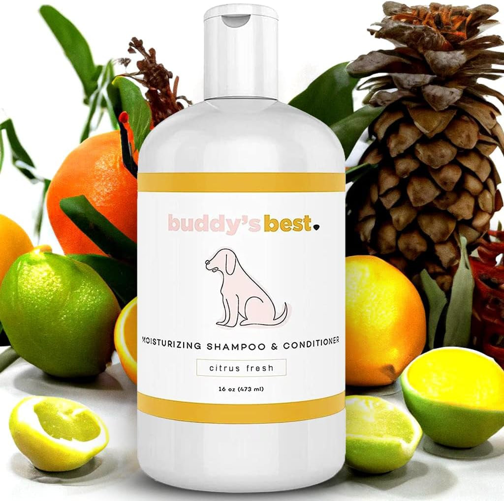 Dog Shampoo for Smelly Dogs - Skin-Friendly, Oatmeal Dog Shampoo and Conditioner for Dry and Sensitive Skin - Moisturizing Puppy Wash Shampoo, Citrus Fresh Scent, 16Oz