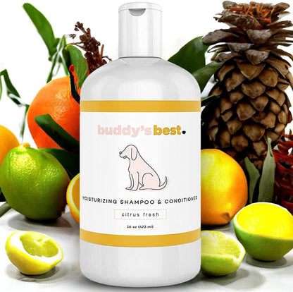 Dog Shampoo for Smelly Dogs - Skin-Friendly, Oatmeal Dog Shampoo and Conditioner for Dry and Sensitive Skin - Moisturizing Puppy Wash Shampoo, Citrus Fresh Scent, 16Oz