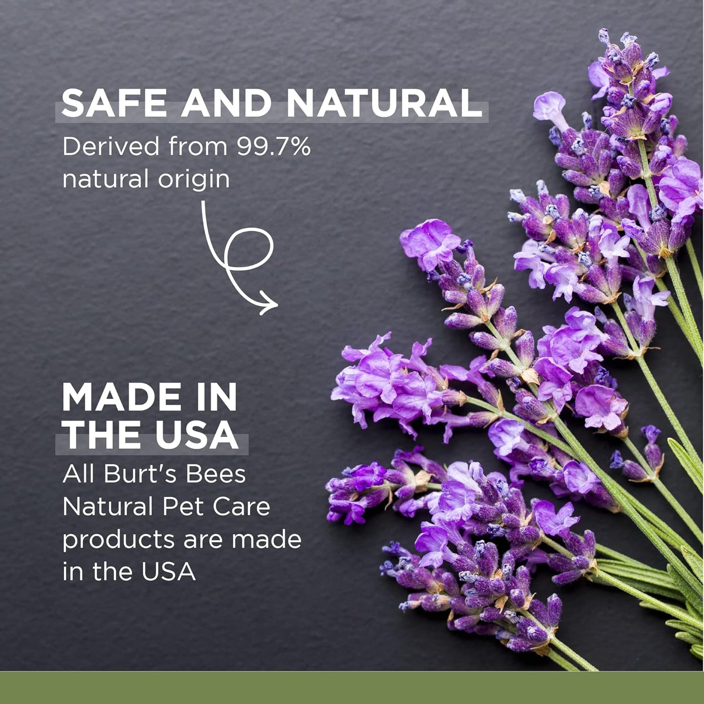 Calming Hemp Shampoo - Burt'S Bees Dog Shampoo with Hemp Seed Oil & Lavender Made with Naturally Derived Ingredients - Hemp Dog Shampoo, Ph Balanced for Dogs, 16 Fl Oz