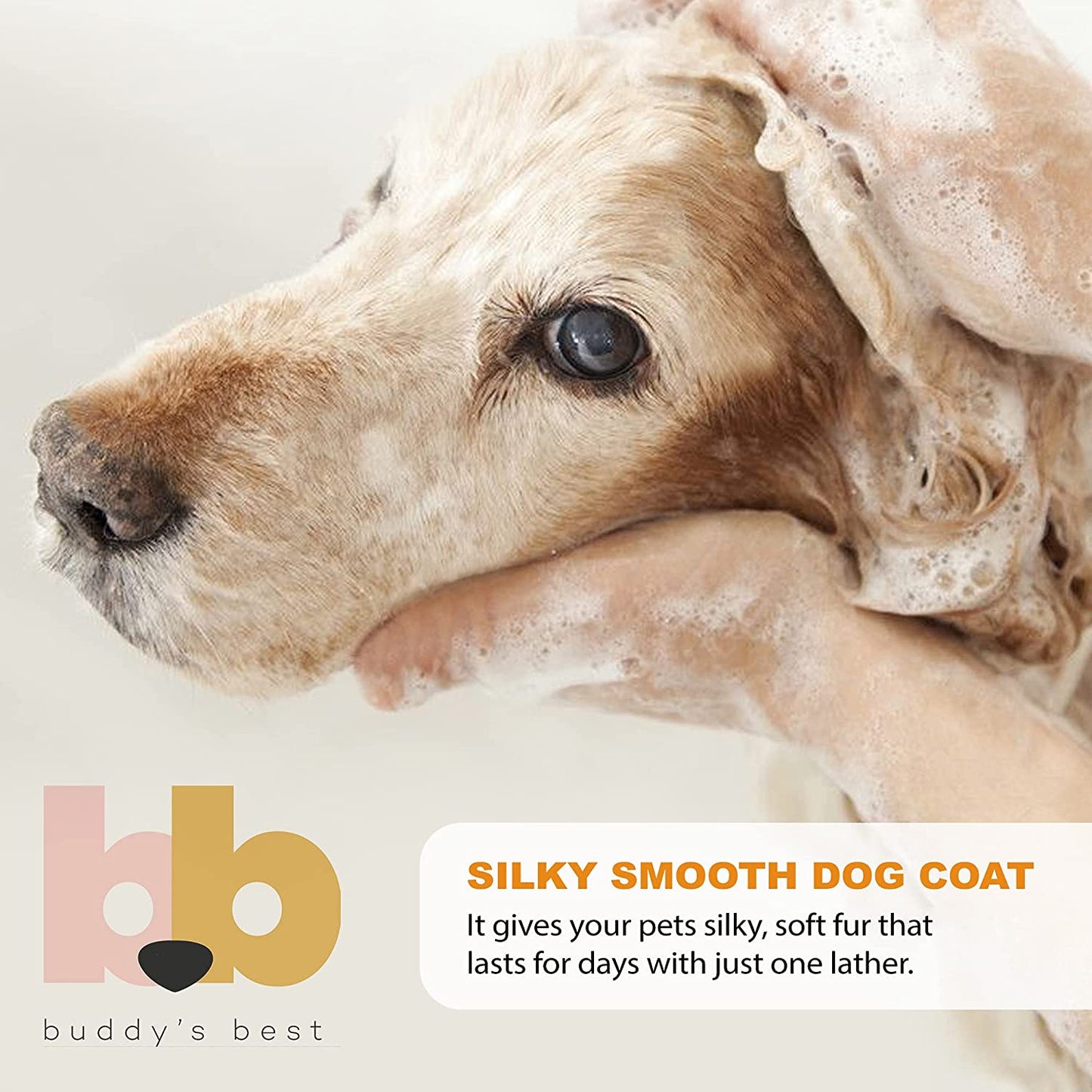 Dog Shampoo for Smelly Dogs - Skin-Friendly, Oatmeal Dog Shampoo and Conditioner for Dry and Sensitive Skin - Moisturizing Puppy Wash Shampoo, Citrus Fresh Scent, 16Oz